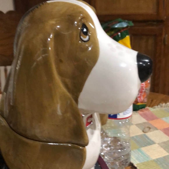 Meet your Posher, Ayden - Picture 1 of 1